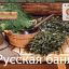 Создание сайта Сочи 7